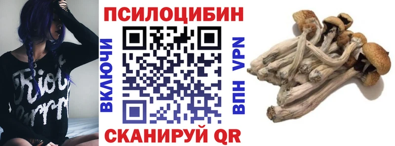 Купить  Пестово  Галлюциногенные грибы мухоморы 