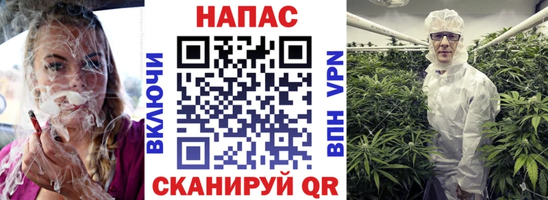Шишки марихуана ГИДРОПОН  Купить закладки  Пестово 